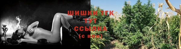 тгк Новозыбков