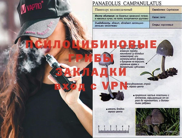 спиды Абаза